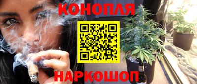 PSILOCYBIN Кимры